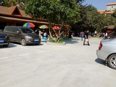 -瑞丽独树成林风景区