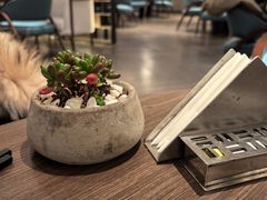 -佘山世茂艾美·御珍轩中餐厅