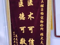 -A猫a狗全科·犬猫异宠·芥西宠物医院(南开总院)