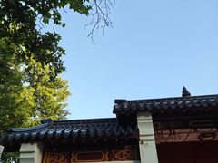-渭滨公园