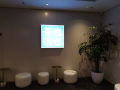 -茶也运也(望京万科店)