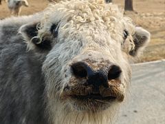 -秦皇岛野生动物园