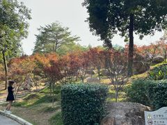 -广州市帽峰山景区