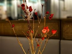 -潮堂 · 潮州菜(人广来福士店)