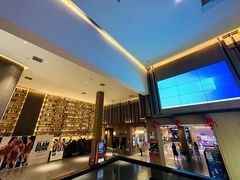 -深影国际影城(学院南路店CGS中国巨幕店)