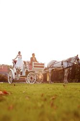 -IDO婚纱摄影(上海旗舰店)