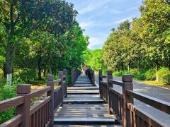 -游子山休闲旅游区