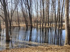 -鄂尔多斯野生动物园