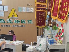 -半岛宠物医院24小时·内窥镜·牙科·碎石中心(府城大道店)