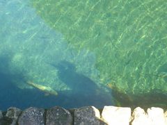 -雁荡山风景名胜区-小龙湫