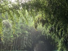 -红螺寺