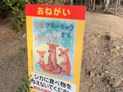 -奈良公园