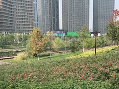 -西海子公园