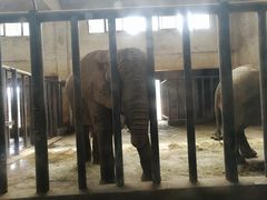 -石家庄市动物园