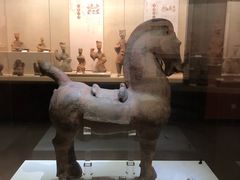 -乐山市博物馆