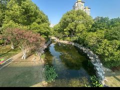 -昆山城市生态森林公园