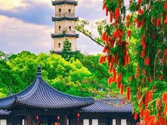 -江心屿景区