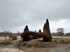 -东平国家森林公园