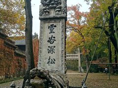 -灵谷景区