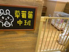 -猫猫幼稚园·撸猫·桌游·电玩