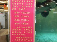 -年辉渔村