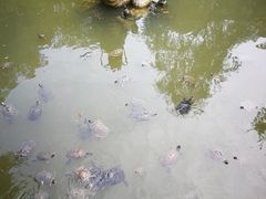 -国恩寺