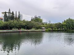 -四海公园(南山区)