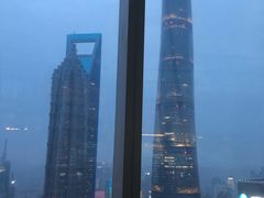 -金轩中餐厅 Jin Xuan(浦东丽思卡尔顿酒店)