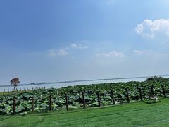 -七的湖·晚芳亭·阳澄湖农家菜·大闸蟹(莲花岛店)