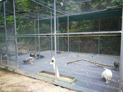 -福建鲤鱼洲酒店