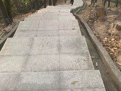 -火炉山森林公园
