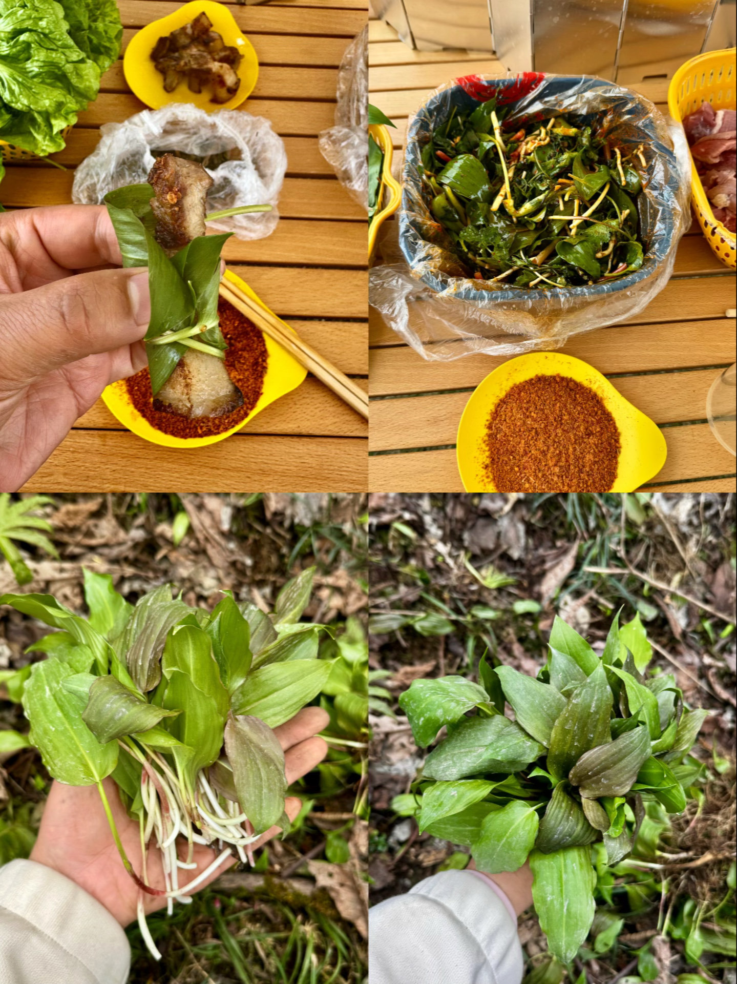 野菜销路(野菜销售渠道)