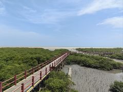 -北海金海湾红树林生态旅游区