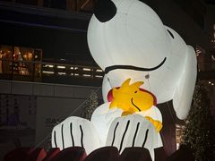 -中粮·祥云小镇