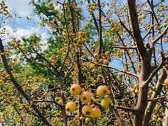 -苏州青少年科技馆