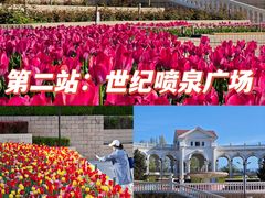 -朝阳公园