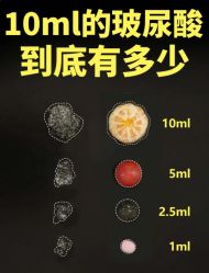 -智美品质医美
