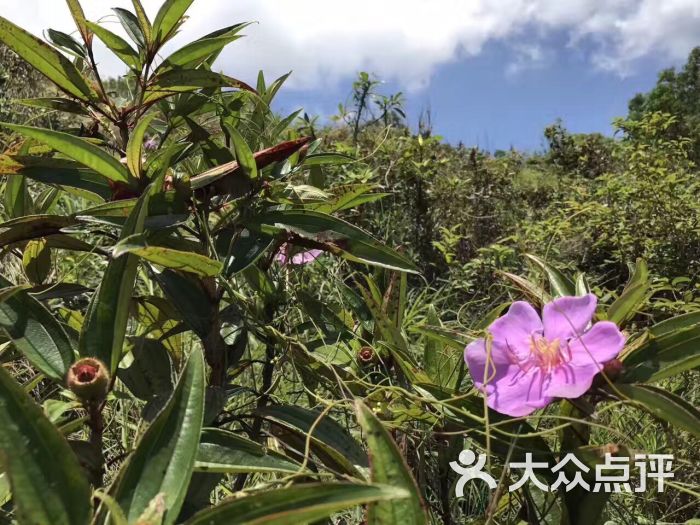 中央南丫岛远足径图片 - 第2张