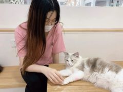 -李小姐の猫咖啡馆(五角场店)