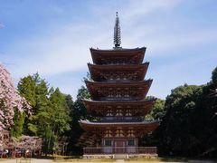 -醍醐寺