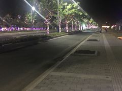 -金沙湖旅游度假区