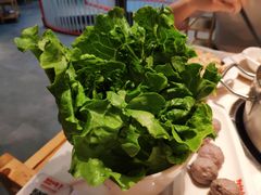 -为什么牛潮汕牛肉火锅(中信广场店)