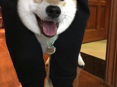 -紫· 割烹  Kappo Murasaki