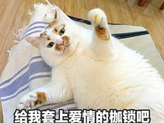 -语朵教育·日韩德法留学(曹杨校区)