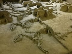 -洛阳周王城天子驾六博物馆