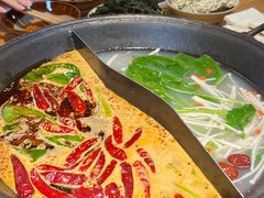 -阳阳老火锅(小南门店)