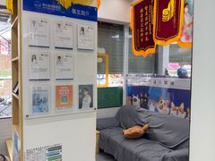 -芭比堂动物医院·心脏科·老年急重症·夜诊·吉雅分院
