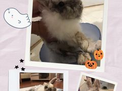 -雨林宠物医院 非犬猫异宠专科