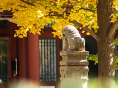 -北京石刻艺术博物馆(五塔寺)
