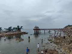 -养马岛旅游度假区
